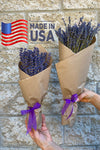 200 Stems Dried Lavender // Fragrant Lavender Bunch - CaliforniaFlowerGrowers.com